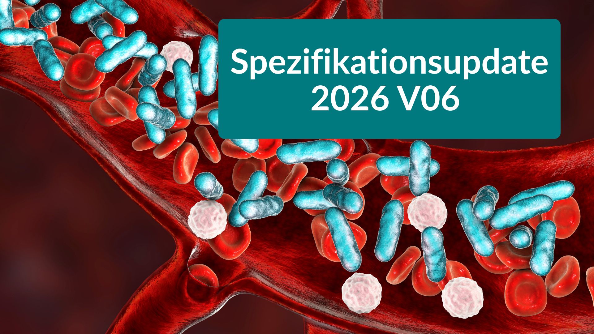 QS-Verfahren Sepsis (Spezifikationsjahr 2026)